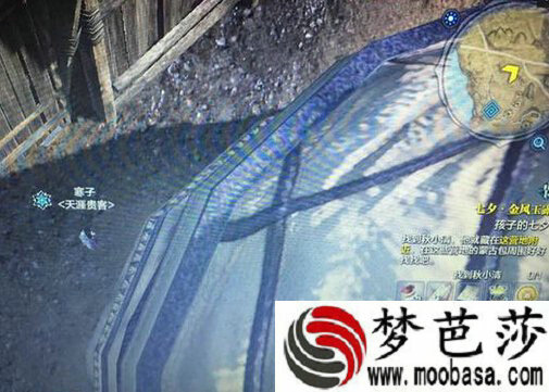 天涯明月刀ol